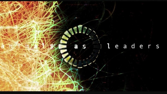 新手入门养鱼，该怎么开始？